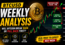 BTCUSD Weekly Analysis: Will Bitcoin Break $80K or Pull Back First?
