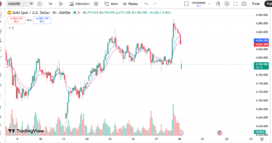 XAUUSD Forecast Today (Monday Week 3): Gold Pullback After Rally – Key Levels to Watch (1H Chart)